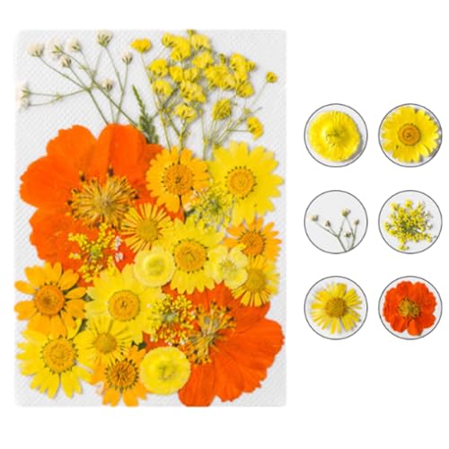 40/120 PCS Transparent Dried Flower Bookmarks, Handmade DIY Dried Flower Bookmark Kit, Spring Clear Book Marks for Pressed Flowers (Dried flower-C) von Lircofi