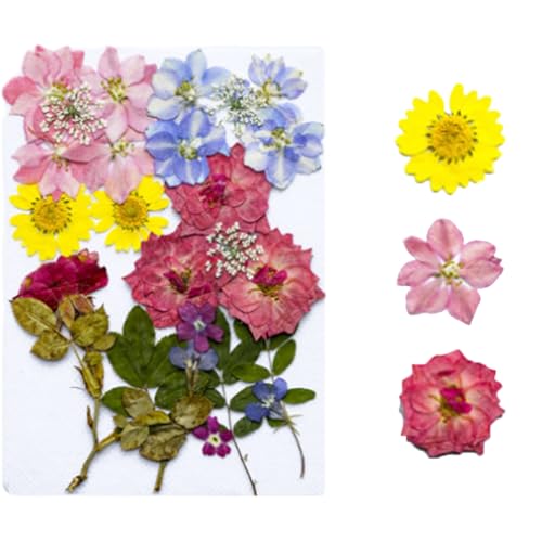 40/120 PCS Transparent Dried Flower Bookmarks, Handmade DIY Dried Flower Bookmark Kit, Spring Clear Book Marks for Pressed Flowers (Dried flower-D) von Lircofi