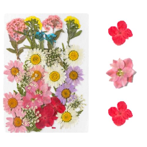 40/120 PCS Transparent Dried Flower Bookmarks, Handmade DIY Dried Flower Bookmark Kit, Spring Clear Book Marks for Pressed Flowers (Dried flower-E) von Lircofi