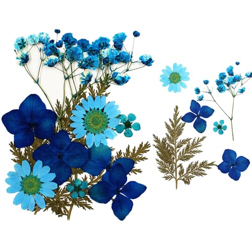 40/120 Pcs Transparent Dried Flower Bookmarks, Handmade DIY Clear Bookmarks for Pressed Flowers, Thousand Flower Bookmark Kit for Spring (Dried flower-A) von Lircofi