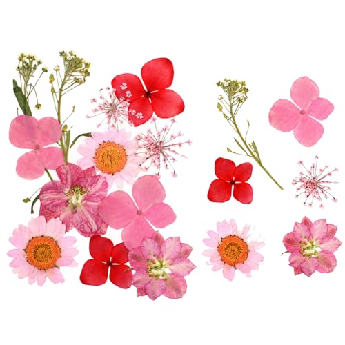 40/120 Pcs Transparent Dried Flower Bookmarks, Handmade DIY Clear Bookmarks for Pressed Flowers, Thousand Flower Bookmark Kit for Spring (Dried flower-B) von Lircofi