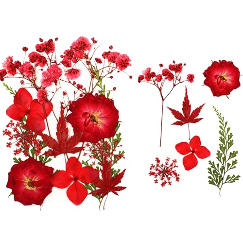 40/120 Pcs Transparent Dried Flower Bookmarks, Handmade DIY Clear Bookmarks for Pressed Flowers, Thousand Flower Bookmark Kit for Spring (Dried flower-C) von Lircofi