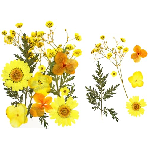 40/120 Pcs Transparent Dried Flower Bookmarks, Handmade DIY Clear Bookmarks for Pressed Flowers, Thousand Flower Bookmark Kit for Spring (Dried flower-D) von Lircofi