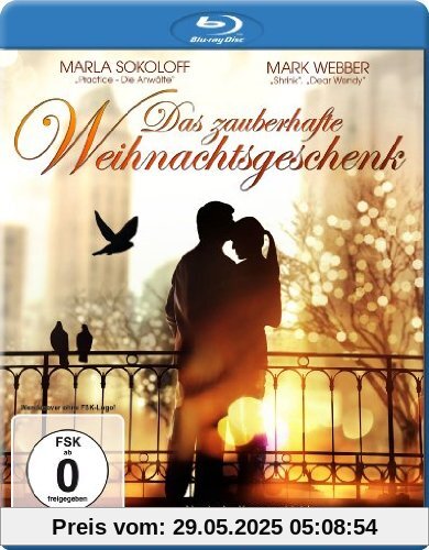 Das zauberhafte Weihnachtsgeschenk [Blu-ray] von Lisa Mulcahy