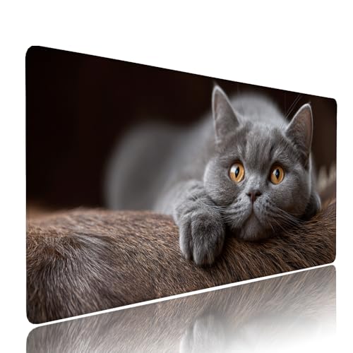 Gaming Mauspad XXL 1200x600x3mm Schwarz Katze Mousepad Groß Desk mat, üro Zubehör Unterlage Schreibtisch WassXerdicht mit Vernähten Kanten und rutschfeste Gummibasis, für Laptop und PC Zubehör d-424 von Liutuedy