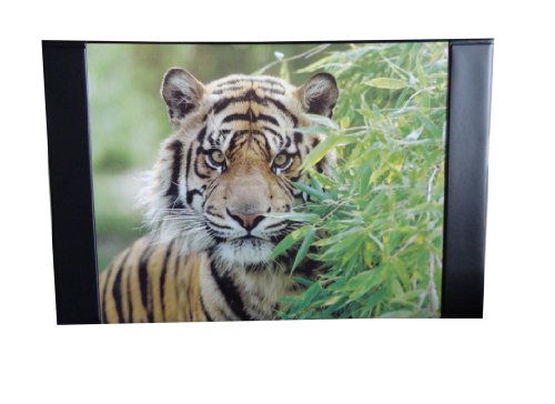 Schreibtischunterlage 68x44cm / mit Tigermotiv von Livepac-Office