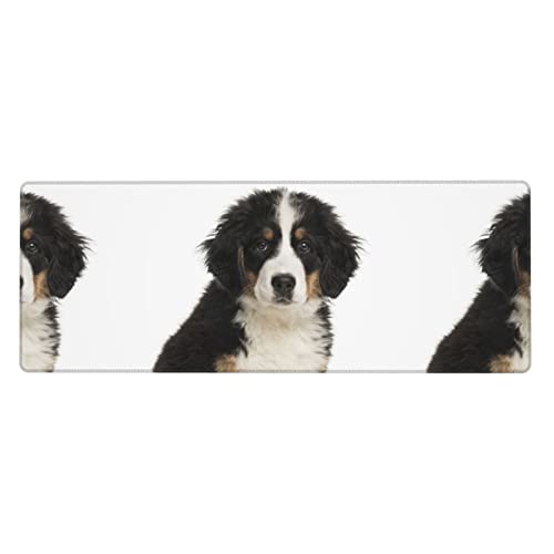 Lodokdre Mauspad, Berner Sennenhund, Schreibtischunterlage, Computertastatur, Mauspad mit Rutschfester Gummibasis, 30 x 80 cm Lodokdre Mauspad, Berner Sennenhund, Schreibtischunterlage, Computertastatur, Mauspad mit Rutschfester Gummibasis, 30 x 80 cm von Lodokdre