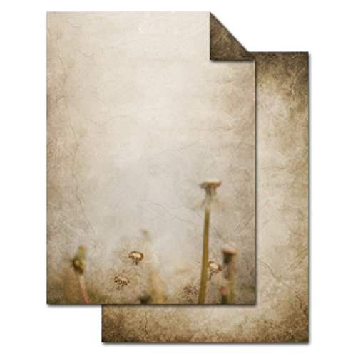 Logbuch-Verlag 100 Blatt Briefpapier Pusteblume Motiv Papier vintage Druckerpapier DIN A4 100g Schreibpapier beidseitig bedruckt alt antik natur beige Logbuch-Verlag 100 Blatt Briefpapier Pusteblume Motiv Papier vintage Druckerpapier DIN A4 100g Schreibpapier beidseitig bedruckt alt antik natur beige von Logbuch-Verlag
