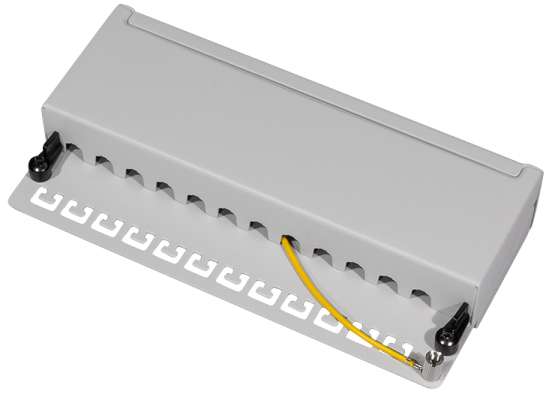 LogiLink Desktop Patch Panel Kat. 6A, 12-Ports, lichtgrau von LogiLink Professional