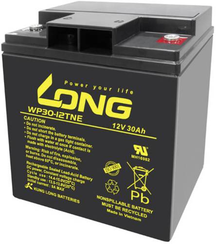 Long WP30-12TNE WP30-12TNE Bleiakku 12V 30Ah Blei-Vlies (AGM) (B x H x T) 166 x 176 x 125mm M6-Schra von Long