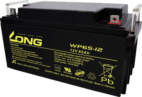 Long WP65-12 WP65-12 Bleiakku 12V 65Ah Blei-Vlies (AGM) (B x H x T) 350 x 174 x 166mm M6-Schraubansc von Long