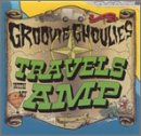 Travels With My Amp [Vinyl LP] von Lookout