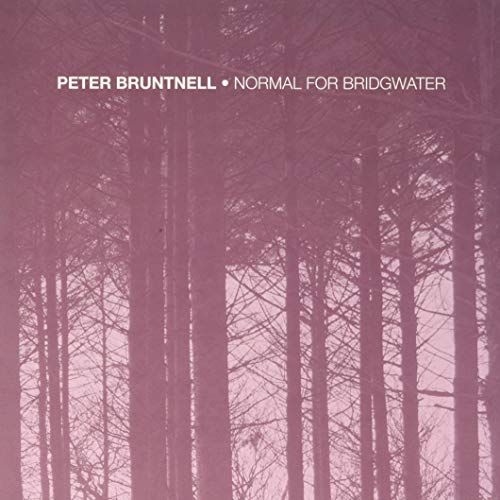 Normal for Bridgwater [Vinyl LP] von Loose