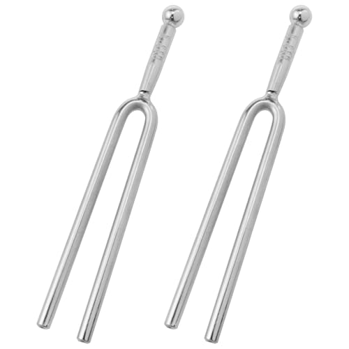 Lovelysp Stimmgabel-Set für Gitarre, Violine, Metall, Standard-Stimmgerät, 440 Hz, Stimmgabel, Violine, Gitarre, Stimmwerkzeug, 2 Stück (Silber) von LoveIysp