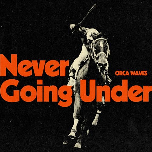 Never Going Under [Vinyl LP] von Lower Third