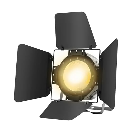 200 W COB LED Par Scheinwerfer, DMX Stroboskop DJ Bühnenlicht Kaltweiß/Warmweiß Disco Licht mit Scheunentüren, Spotlight für Bühne Kirche Club Party Lichttechnik Hochzeit Beleuchtung 200 W COB LED Par Scheinwerfer, DMX Stroboskop DJ Bühnenlicht Kaltweiß/Warmweiß Disco Licht mit Scheunentüren, Spotlight für Bühne Kirche Club Party Lichttechnik Hochzeit Beleuchtung von LoyaltyClivia