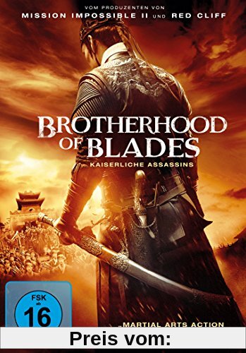 Brotherhood of Blades von Lu Yang