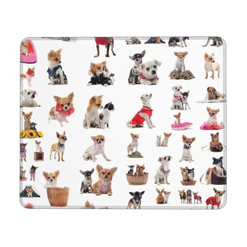 Mauspad mit niedlichem Chihuahua-Motiv für Gaming, Büro, Computer, rechteckig, lustiges Design, Gummi, waschbar, 20,1 x 24,1 cm Mauspad mit niedlichem Chihuahua-Motiv für Gaming, Büro, Computer, rechteckig, lustiges Design, Gummi, waschbar, 20,1 x 24,1 cm von Luckily&Day