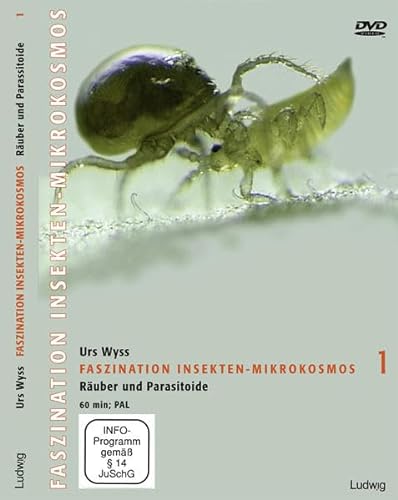 Faszination Insekten-Mikrokosmos, Räuber und Parasitoide, DVD von Ludwig, Kiel