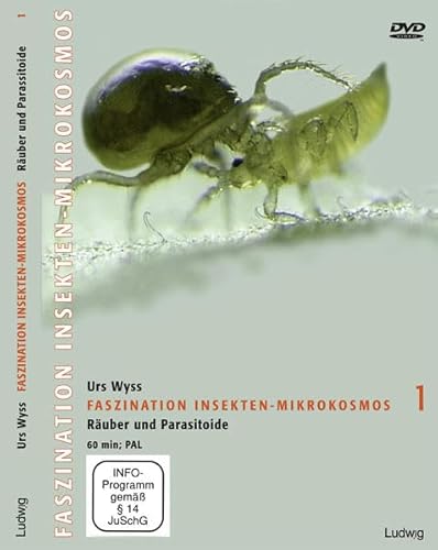 Faszination Insekten-Mikrokosmos, Räuber und Parasitoide, DVD von Ludwig, Kiel