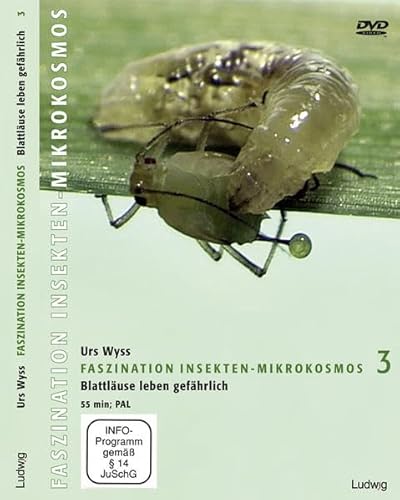 Faszination Insekten-Mikrokosmos 3, Blattläuse leben gefährlich von Ludwig, Kiel