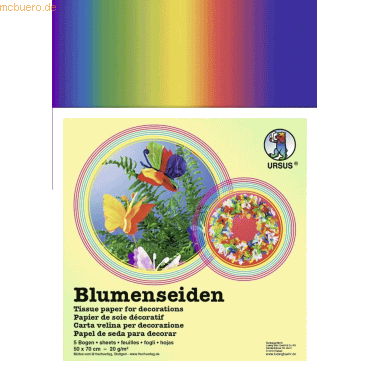 10 x Ludwig Bähr Regenbogen-Blumenseide 20g/qm 50x70cm VE=25 Bogen sor von Ludwig Bähr