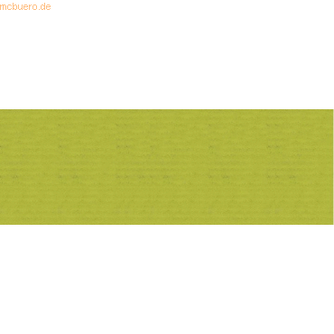 30 x Ludwig Bähr Packpapier Uni-Colorpack 70g/qm 5mx100cm hellgrün 30 x Ludwig Bähr Packpapier Uni-Colorpack 70g/qm 5mx100cm hellgrün von Ludwig Bähr