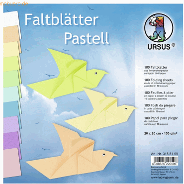 Ludwig Bähr Tonpapier-Faltblätter 130g/qm Pastellfarben 20x20cm VE=100 von Ludwig Bähr