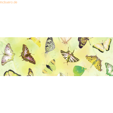 Ludwig Bähr Transparentpapier 115g/qm A4 VE=25 Blatt Schmetterling von Ludwig Bähr