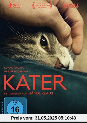Kater von Lukas Turtur