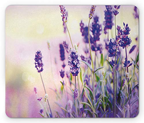 Lunarable Lavendel Mousepad, Traumhafter Frühlingstag mit frischen Blüten Aromatische zarte Wildblumen, Rechteckiges rutschfestes Gummi-Mauspad, Standardgröße, Lavendel Flieder Grün Lunarable Lavendel Mousepad, Traumhafter Frühlingstag mit frischen Blüten Aromatische zarte Wildblumen, Rechteckiges rutschfestes Gummi-Mauspad, Standardgröße, Lavendel Flieder Grün von Lunarable