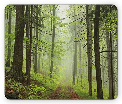 Lunarable Outdoor-Mauspad, Trail Trog Foggy Alders Buche Oaks Coniferous Grove Hiking Thema, Rechteckiges rutschfestes Gummi-Mauspad, Standardgröße, Gelb Grün von Lunarable