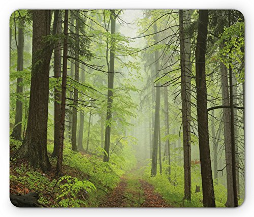 Lunarable Outdoor-Mauspad, Pfad, Trog, Neblige Erle, Buchen, Eichen, Nadelhain, Wander-Thema, rechteckig, rutschfest, Gummi, Standardgröße, Gelb Lunarable Outdoor-Mauspad, Pfad, Trog, Neblige Erle, Buchen, Eichen, Nadelhain, Wander-Thema, rechteckig, rutschfest, Gummi, Standardgröße, Gelb von Lunarable