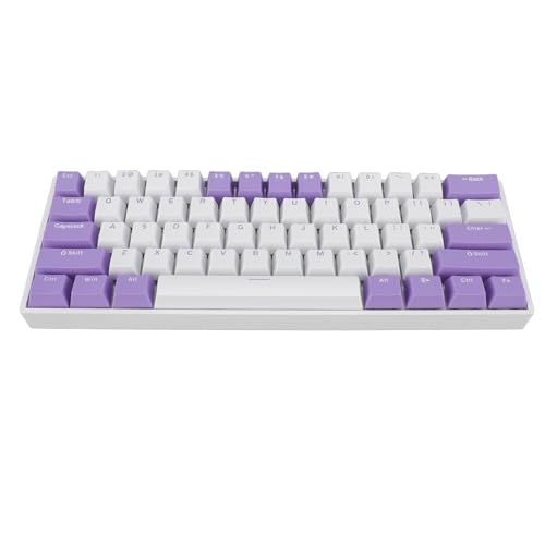 Luqeeg Mechanische Tastatur mit 61 Tasten, RGB-Hintergrundbeleuchtung, Kompakte Kabelgebundene -Tastatur mit Ergonomischem Design, Weißes Gehäuse, Tastenkappe Im Blaubeer-Design, von Luqeeg