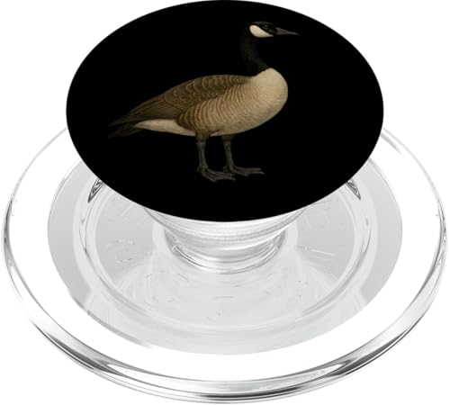 Canadian Goose PopSockets PopGrip für MagSafe Canadian Goose PopSockets PopGrip für MagSafe von Lustige kanadische Gänse Geschenke Gans