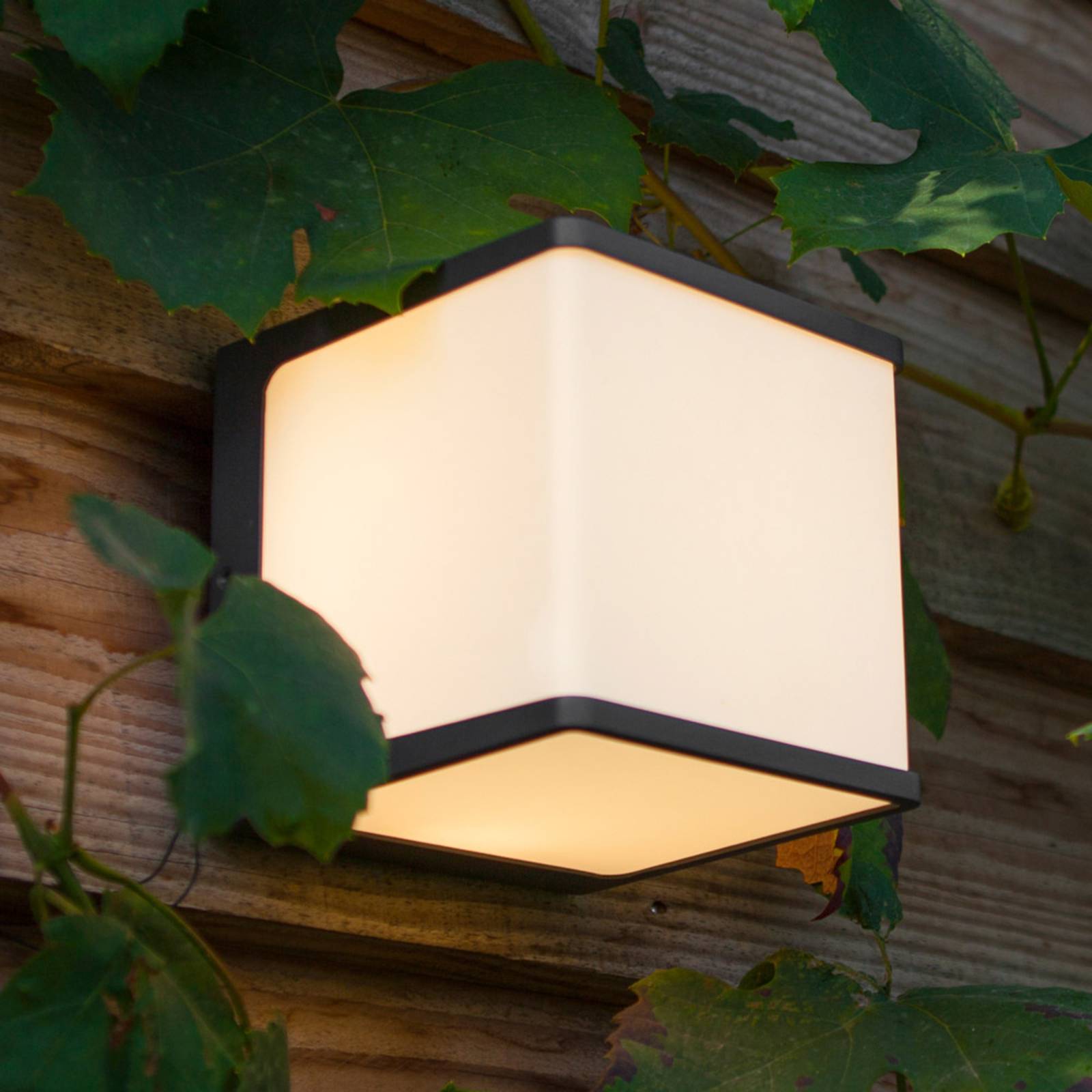 LED-Außenwandleuchte Doblo, Würfel, 15 cm, 3.000 K LED-Außenwandleuchte Doblo, Würfel, 15 cm, 3.000 K von Lutec