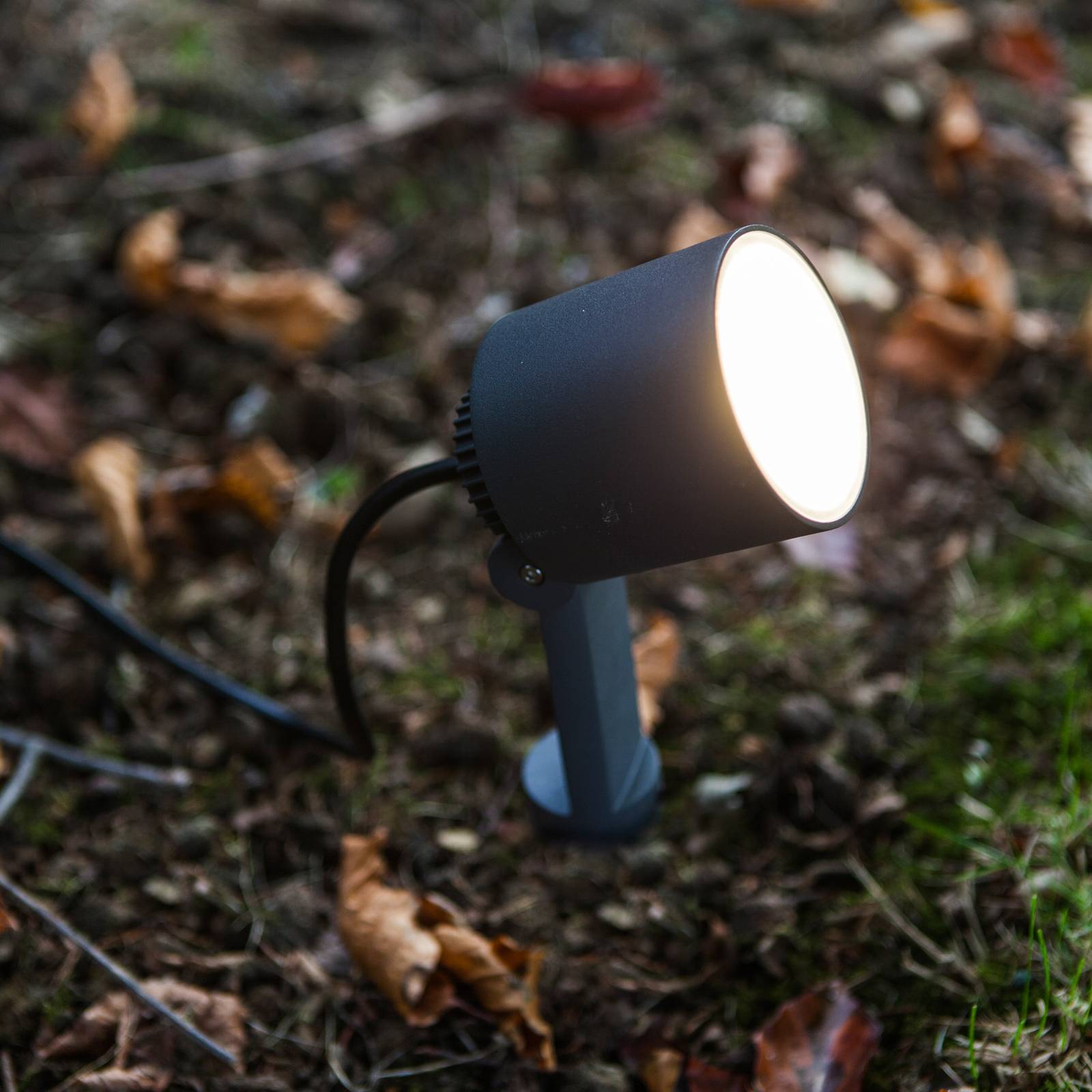 LED-Erdspießleuchte Explorer mit Spotkopf LED-Erdspießleuchte Explorer mit Spotkopf von Lutec