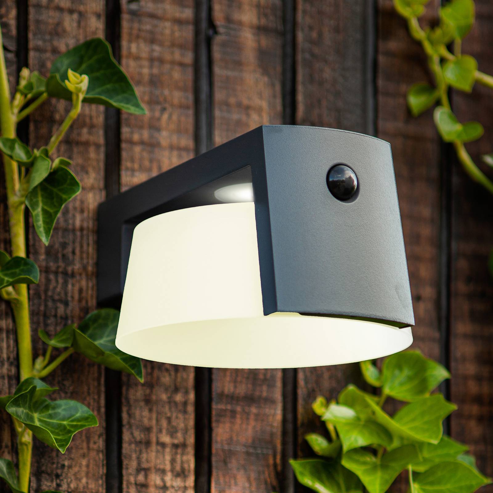 LED-Solar-Wandleuchte Moon, anthrazit, Bewegungssensor, IP44 LED-Solar-Wandleuchte Moon, anthrazit, Bewegungssensor, IP44 von Lutec