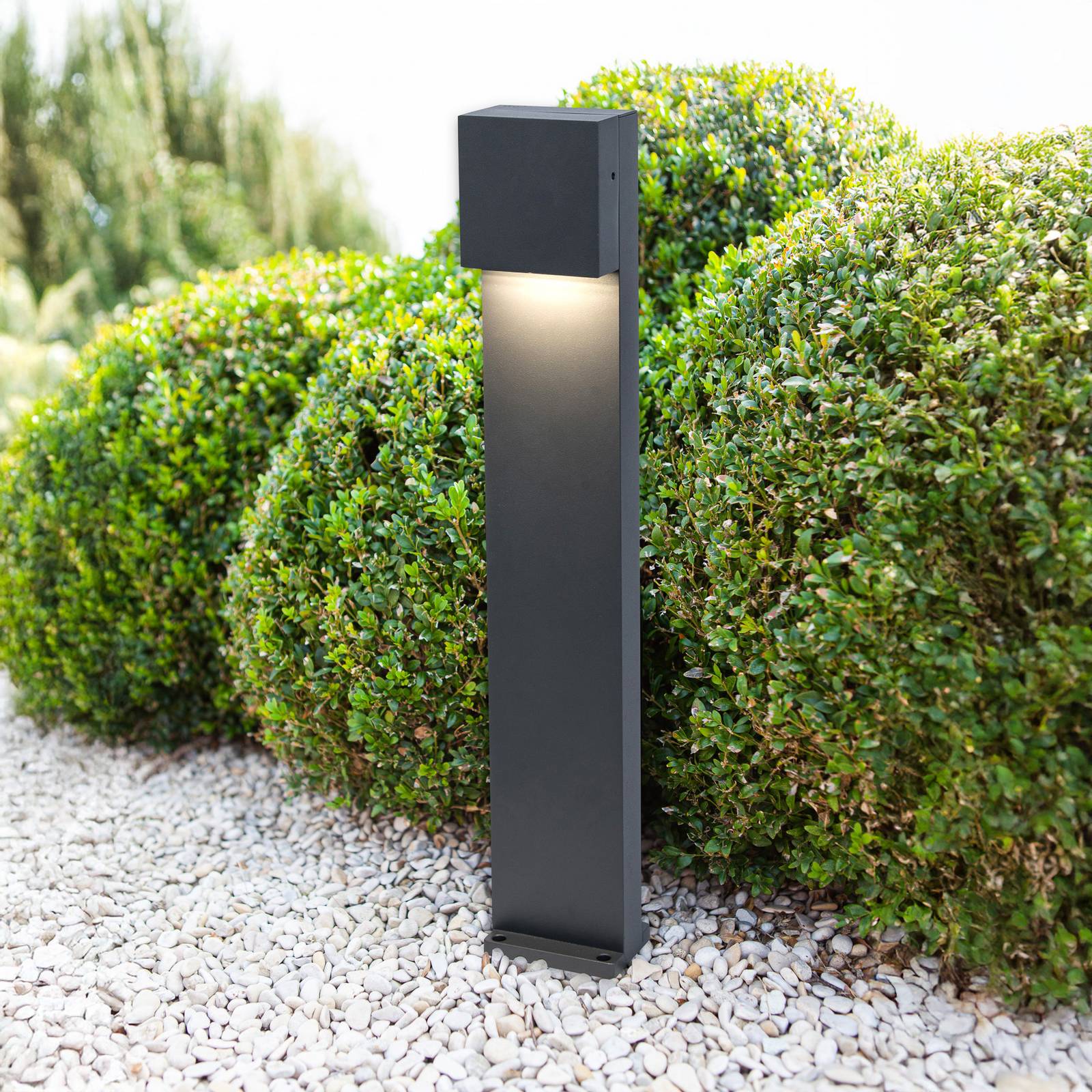 LED-Wegeleuchte Gemini FX, IP54, anthrazit LED-Wegeleuchte Gemini FX, IP54, anthrazit von Lutec