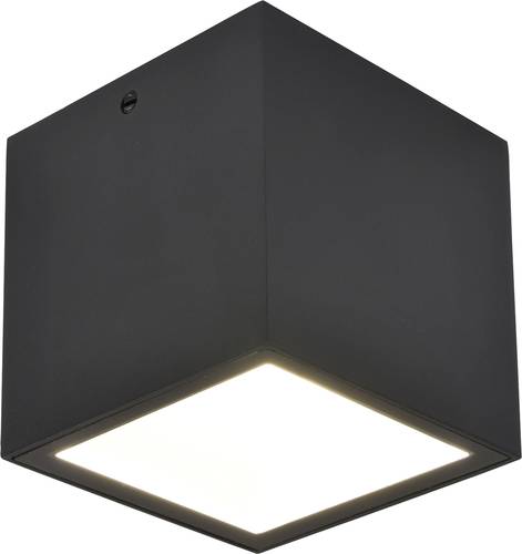 Lutec 6389102012 GEMINI LED-Außendeckenleuchte LED LED 7.00W Schwarz (matt) von Lutec