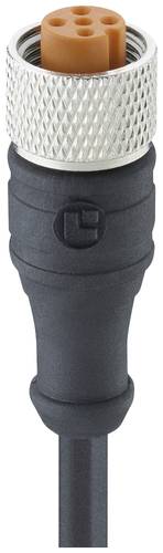 Lutronic 1200 12 315 5m Sensor-/Aktor-Anschlussleitung M12 Buchse, gerade 5m Polzahl: 12 1St. Lutronic 1200 12 315 5m Sensor-/Aktor-Anschlussleitung M12 Buchse, gerade 5m Polzahl: 12 1St. von Lutronic