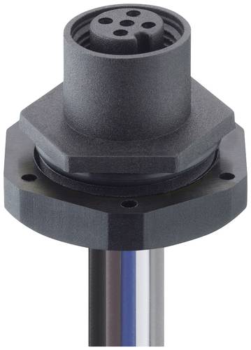 Lutronic 1220 04 T20CW100 0,5m Sensor-/Aktor-Einbausteckverbinder M12 Buchse, Einbau Polzahl: 4 10St Lutronic 1220 04 T20CW100 0,5m Sensor-/Aktor-Einbausteckverbinder M12 Buchse, Einbau Polzahl: 4 10St von Lutronic