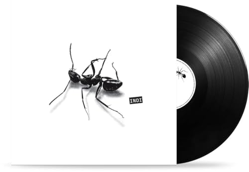 Indi (Vinile Nero) [Vinyl LP] von MACISTE DISCHI