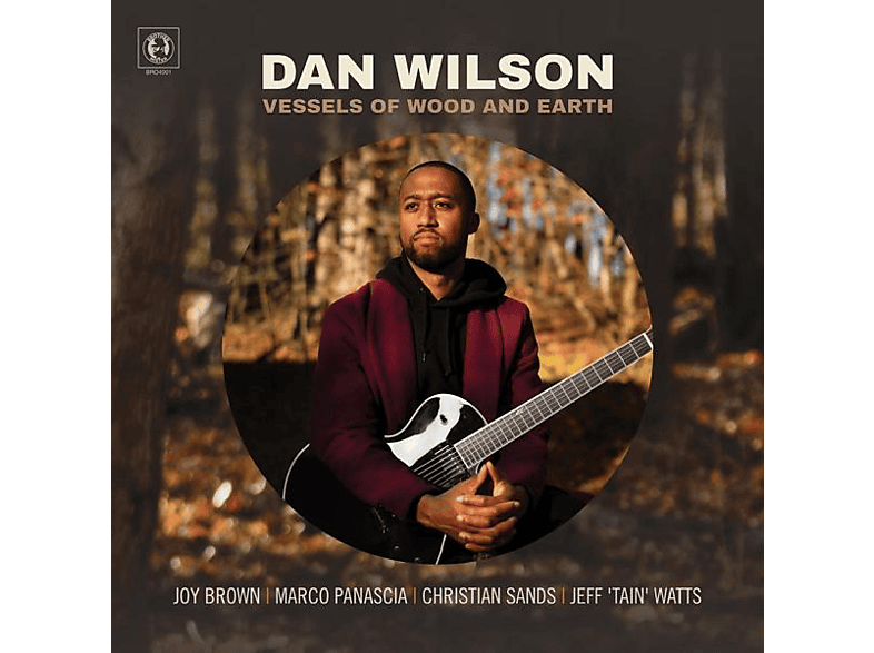 Dan Wilson - Vessels of Wood and Earth (CD) von MACK AVENU