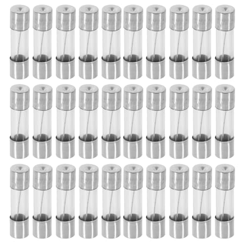 MAGICLULU 100 Stück Glassicherungsrohr Material Für Die Automobilverkabelung Schmelzsicherungen Für Den Außenbereich 10 Ampere 250 V Sicherung Für Weihnachtsbeleuchtung 10 Ampere MAGICLULU 100 Stück Glassicherungsrohr Material Für Die Automobilverkabelung Schmelzsicherungen Für Den Außenbereich 10 Ampere 250 V Sicherung Für Weihnachtsbeleuchtung 10 Ampere von MAGICLULU