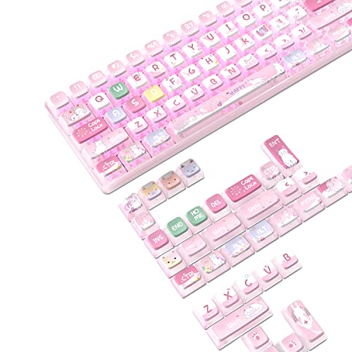 MAMBASNAKE 120 Tasten PBT Pudding Tastenkappen Set,ASA Profil,PBT Farbsublimation,ANSI US Layout für TKL 61 68 87 98 104 Mechanische Tastatur,Kompatibel mit Cherry MX Gateron Otemu Kailh Schalter von MAMBASNAKE