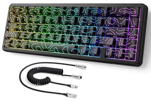 X65-Tastatur, schwarze Konturen X65-Tastatur, schwarze Konturen von MAMBASNAKE