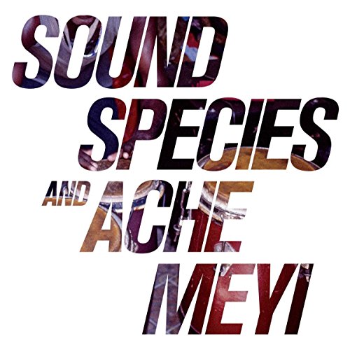 Soundspecies & Ache Meyi [Vinyl LP] von MANANA