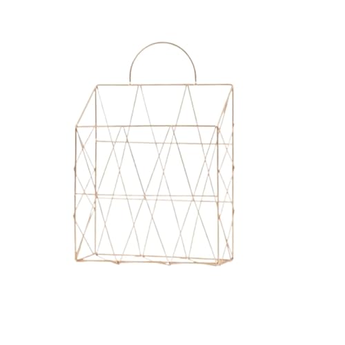 Wandmontierte Magazinablage Wandmontierter Zeitschriftensammler aus Eisen, Zeitungshalter, Aktenhalter, Bücherregal, wandmontierter/handgehaltener Zeitschriftenhalter FüR Lagerung(Gold) von MAQDDO