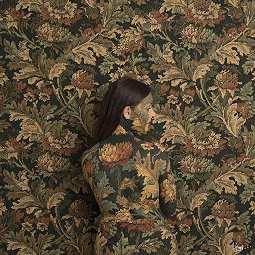 In Plain Sight von Bertus